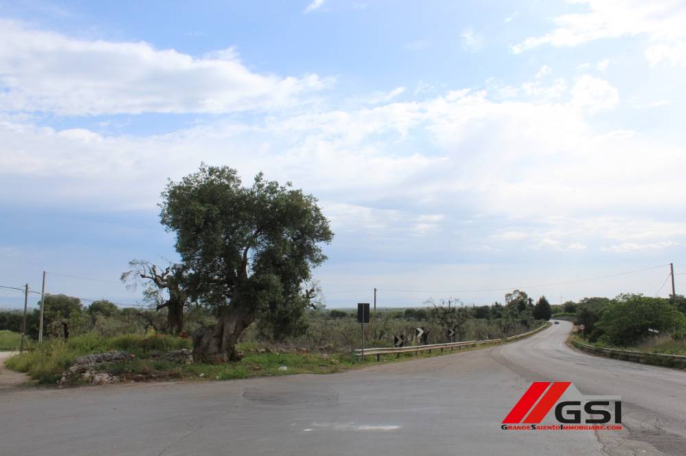 appartamento in vendita ad Ostuni
