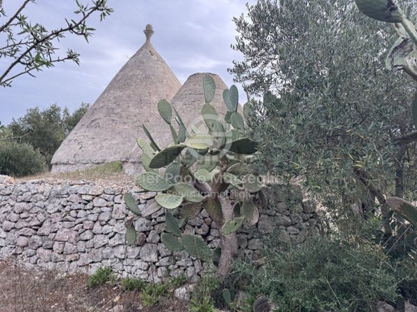 appartamento in vendita ad Ostuni
