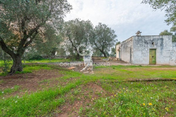 terreno agricolo in vendita ad Ostuni