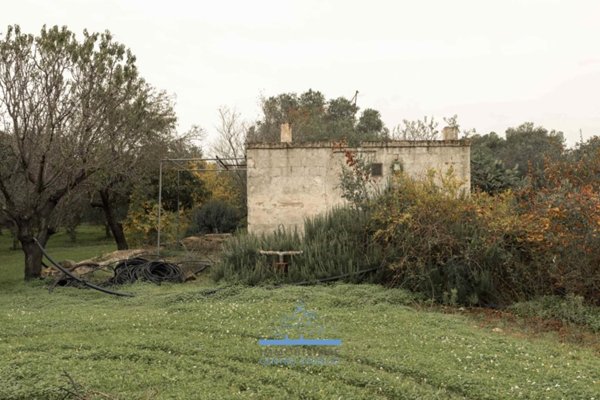 casa indipendente in vendita ad Ostuni