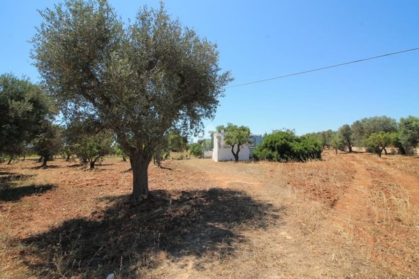 appartamento in vendita ad Ostuni