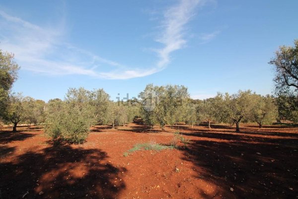 appartamento in vendita ad Ostuni