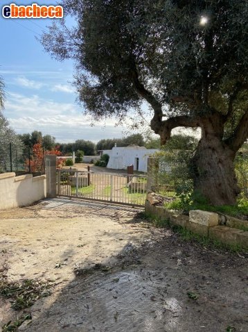 casa indipendente in vendita ad Ostuni