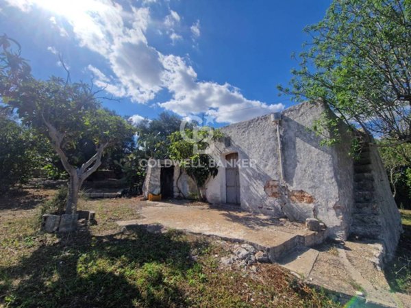 terreno agricolo in vendita ad Ostuni