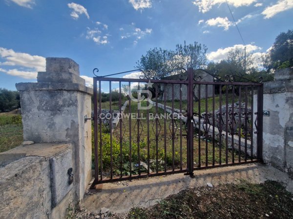 terreno agricolo in vendita ad Ostuni
