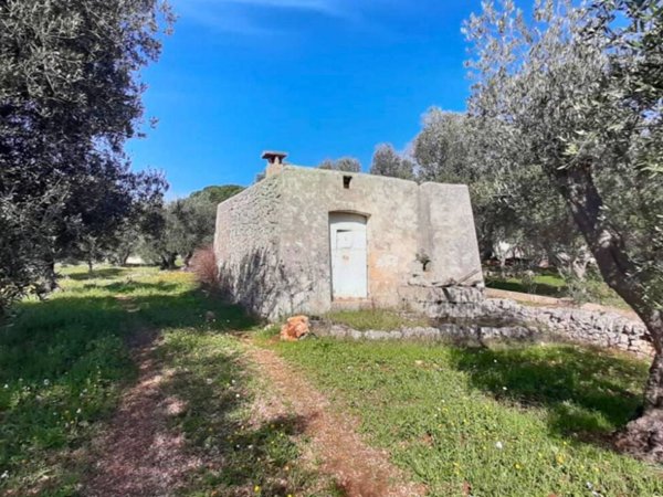 terreno agricolo in vendita ad Ostuni