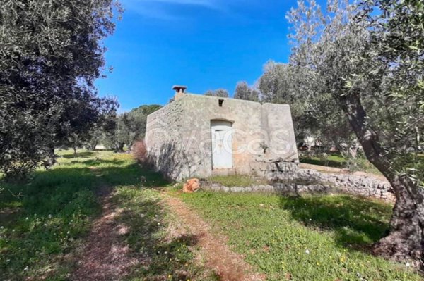 terreno agricolo in vendita ad Ostuni