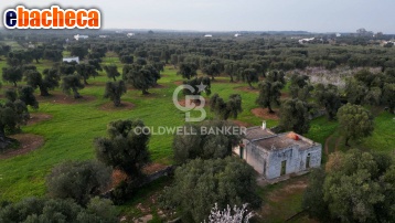 terreno agricolo in vendita ad Ostuni