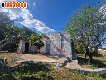 terreno agricolo in vendita ad Ostuni