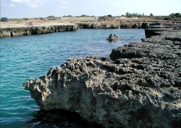 negozio in vendita ad Ostuni