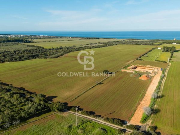 terreno agricolo in vendita ad Ostuni