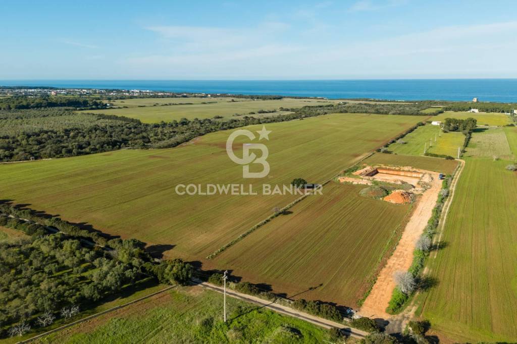 terreno agricolo in vendita ad Ostuni