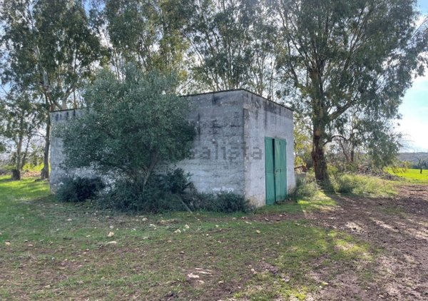 appartamento in vendita ad Ostuni