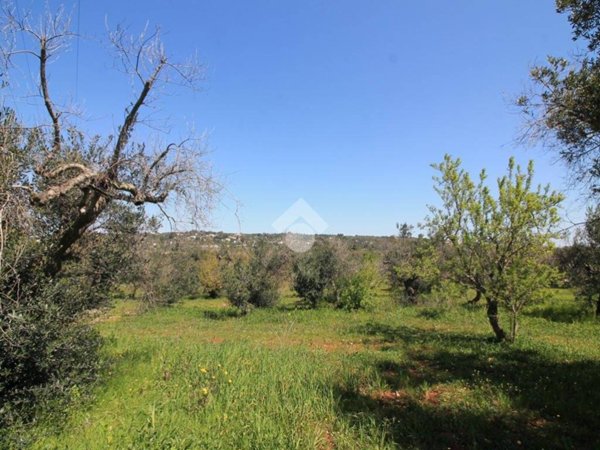 terreno agricolo in vendita ad Ostuni