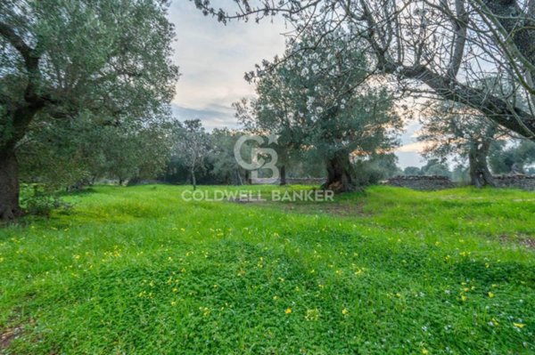 casa indipendente in vendita ad Ostuni