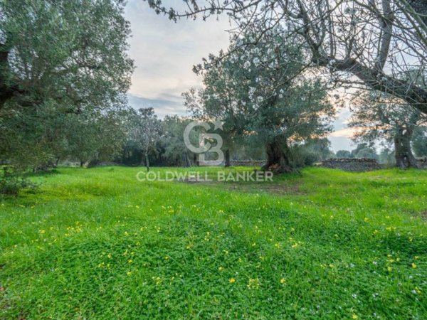 appartamento in vendita ad Ostuni