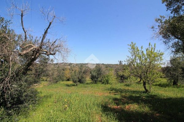 casa indipendente in vendita ad Ostuni