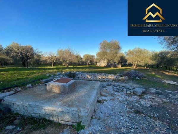 terreno agricolo in vendita ad Ostuni
