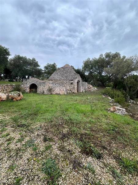 terreno agricolo in vendita ad Ostuni