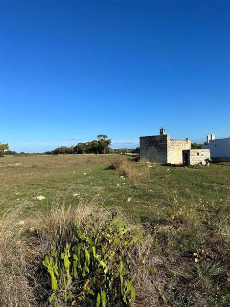terreno agricolo in vendita ad Ostuni