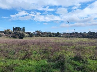 terreno agricolo in vendita ad Ostuni