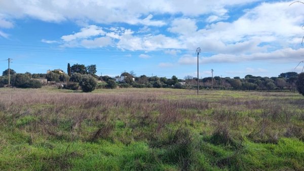 terreno agricolo in vendita ad Ostuni