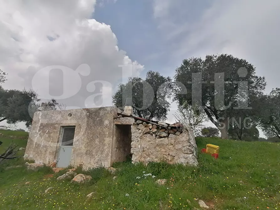 terreno agricolo in vendita ad Ostuni