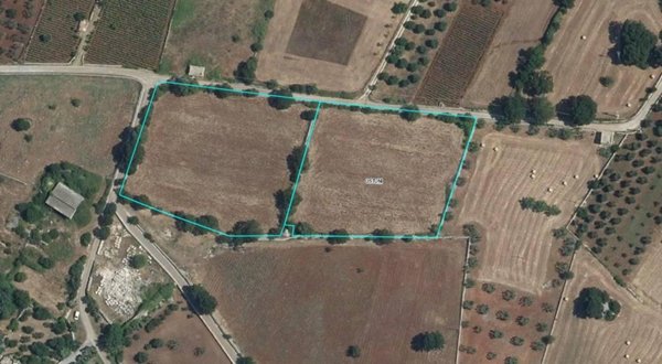 terreno agricolo in vendita ad Ostuni