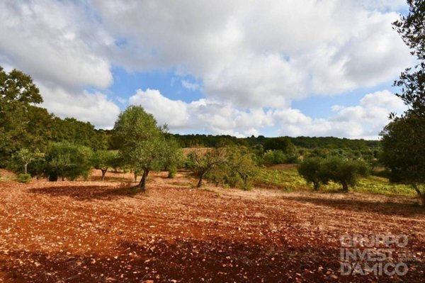 terreno agricolo in vendita ad Ostuni