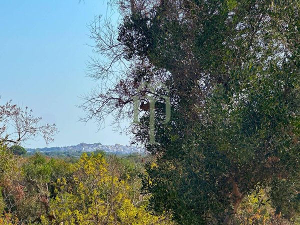 casa indipendente in vendita ad Ostuni
