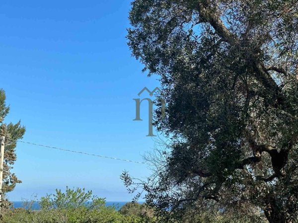 terreno agricolo in vendita ad Ostuni