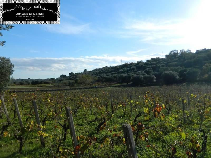 terreno agricolo in vendita ad Ostuni
