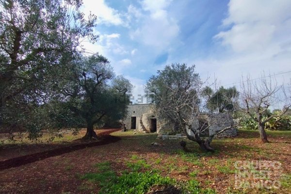 appartamento in vendita ad Ostuni