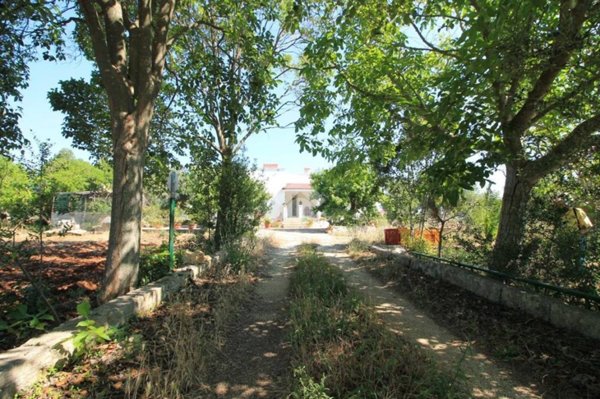 casa indipendente in vendita ad Ostuni