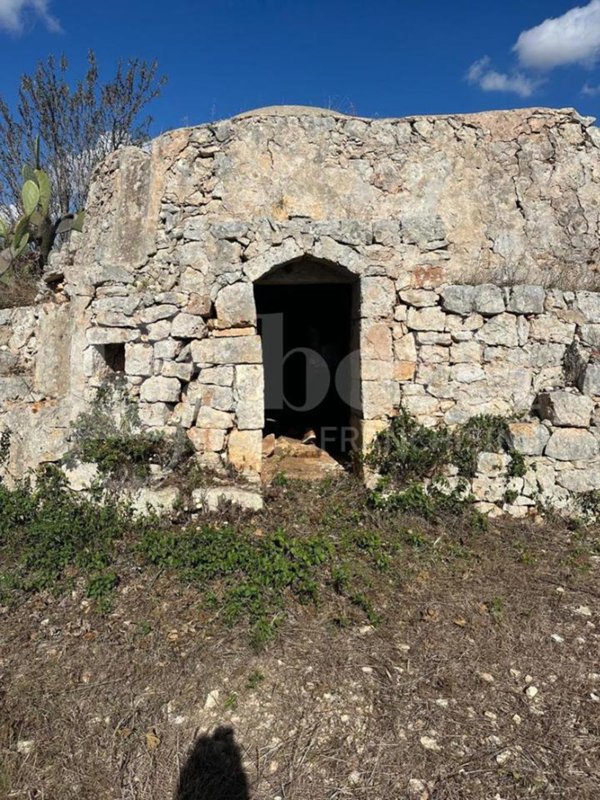 terreno agricolo in vendita ad Ostuni