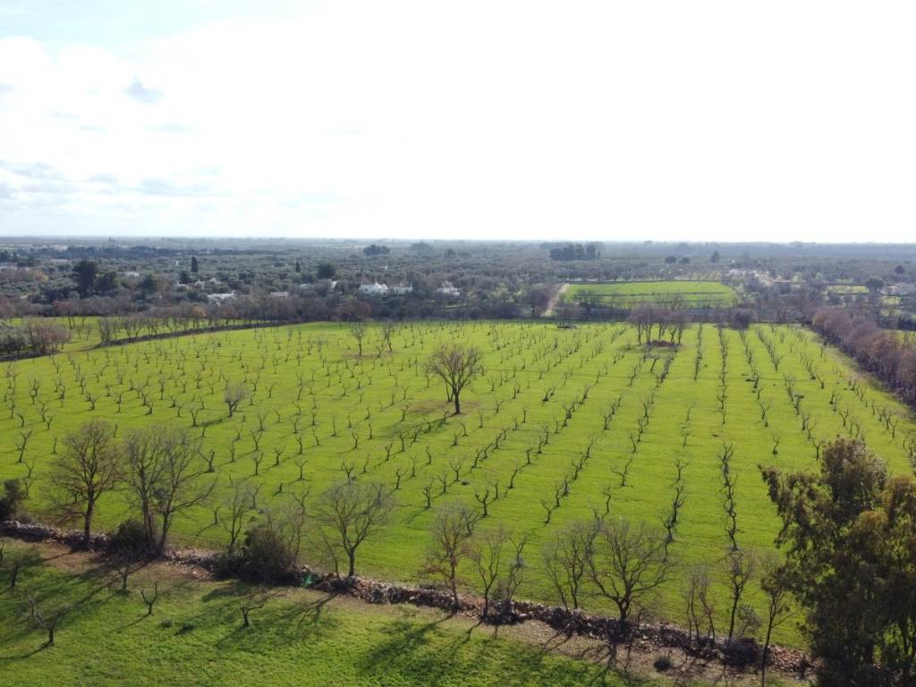 terreno agricolo in vendita ad Ostuni