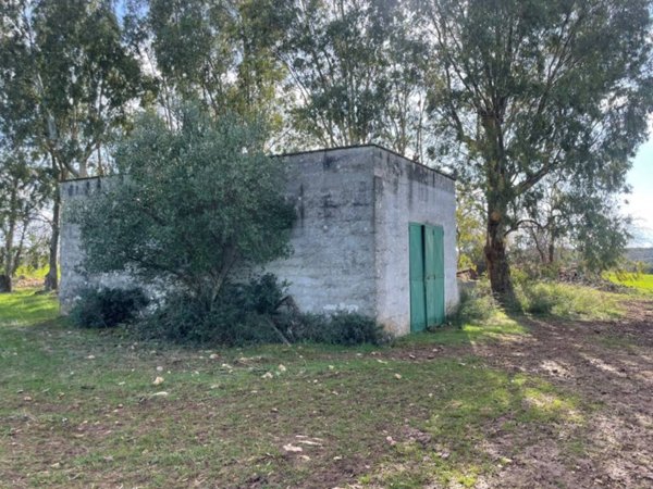 casa indipendente in vendita ad Ostuni
