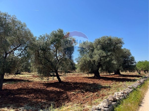 casa indipendente in vendita ad Ostuni