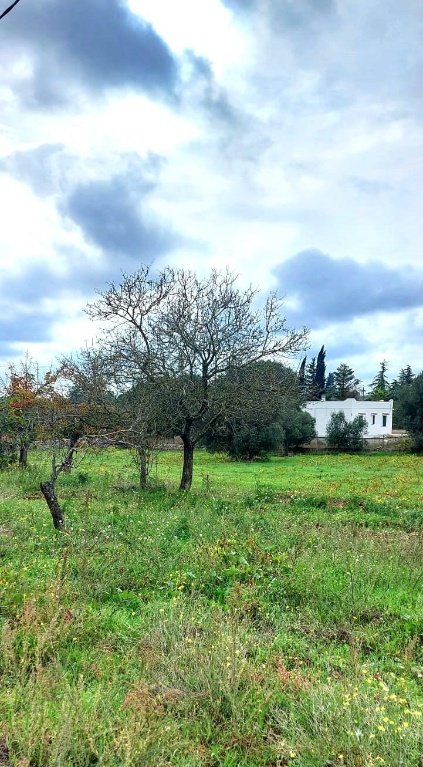 terreno edificabile in vendita ad Ostuni