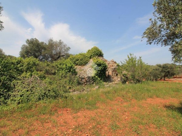 casa indipendente in vendita ad Ostuni