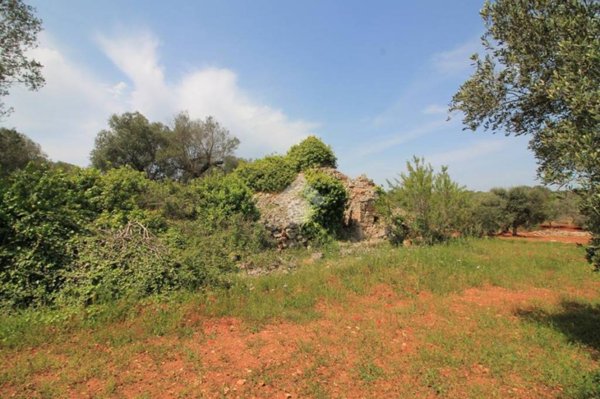 casa indipendente in vendita ad Ostuni