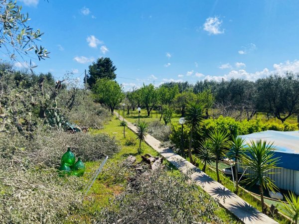 appartamento in vendita ad Ostuni
