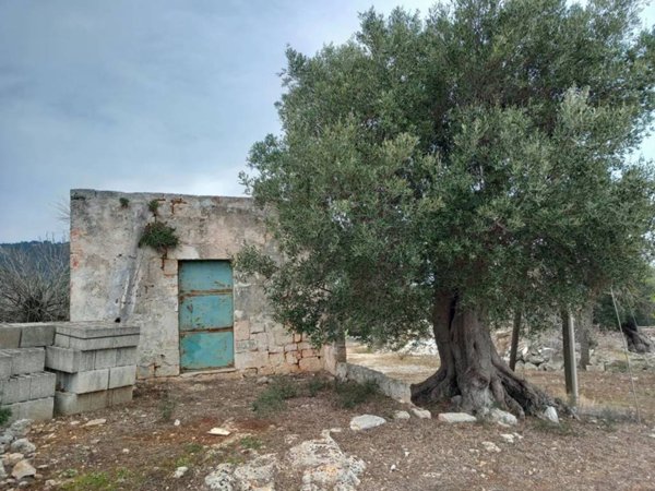 casa indipendente in vendita ad Ostuni