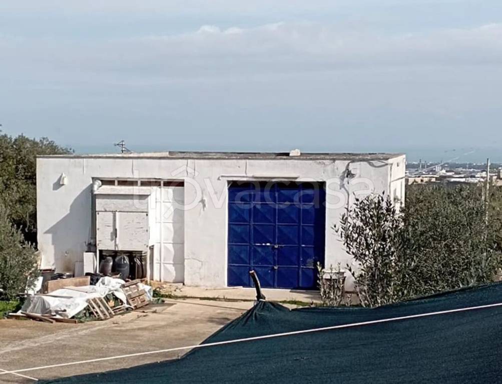 appartamento in vendita ad Ostuni