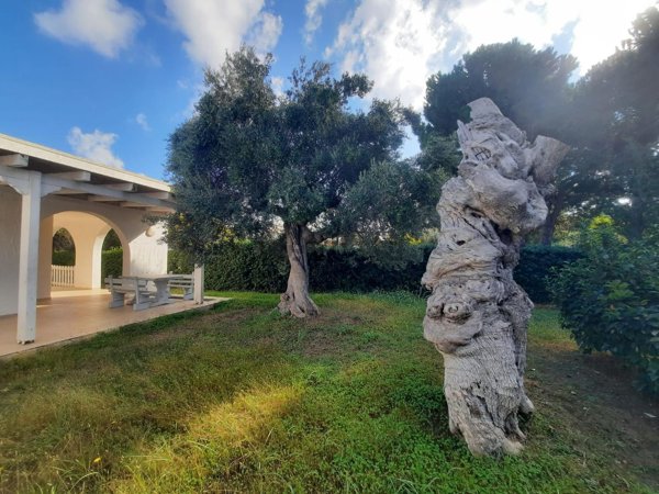 casa indipendente in vendita ad Ostuni in zona Rosa Marina