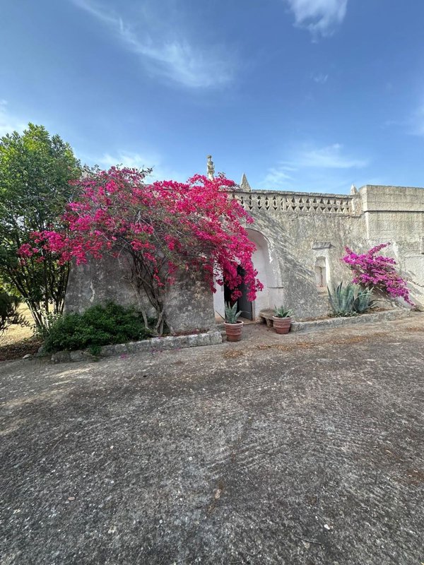 appartamento in vendita ad Ostuni
