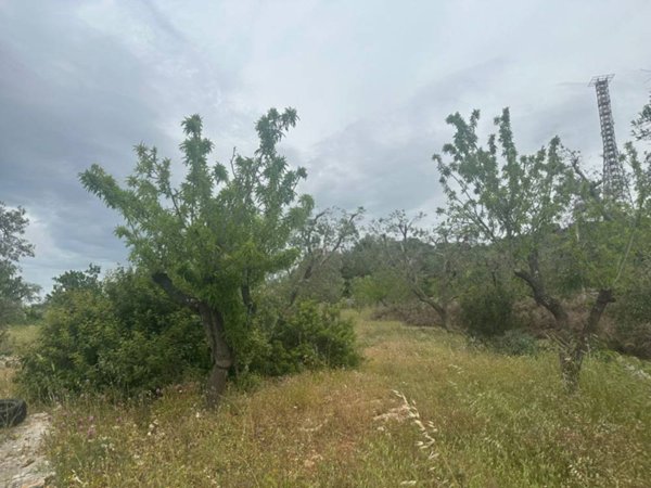 casa indipendente in vendita ad Ostuni