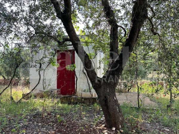 terreno agricolo in vendita ad Ostuni