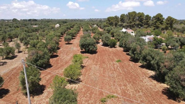 casa indipendente in vendita ad Ostuni
