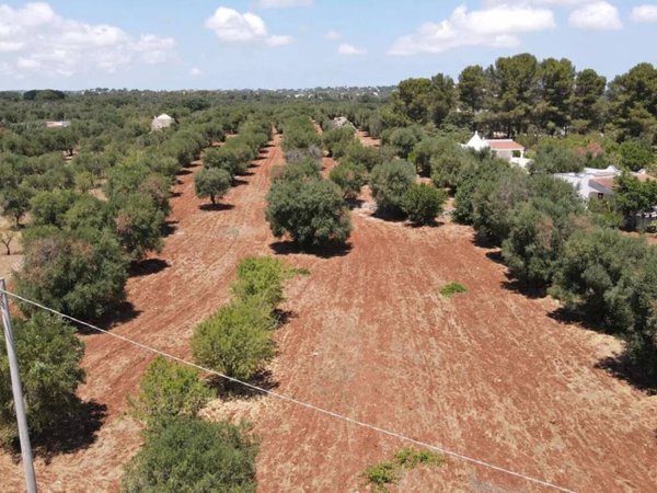 casa indipendente in vendita ad Ostuni